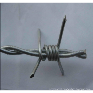 Hot Sale Galvanized Coated Double Stranded Barbed Wire
